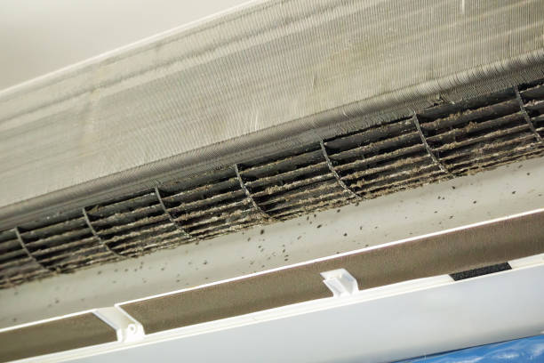 Best Affordable Duct Cleaning Services  in Plymouth, CA